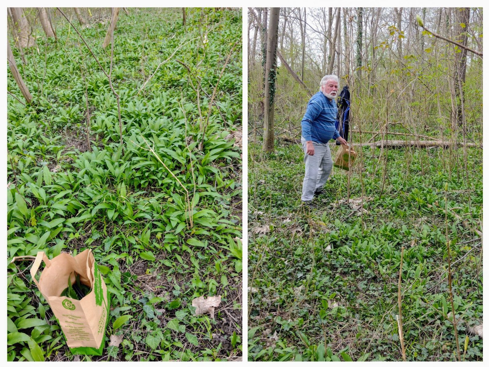 20240321_190620-COLLAGE