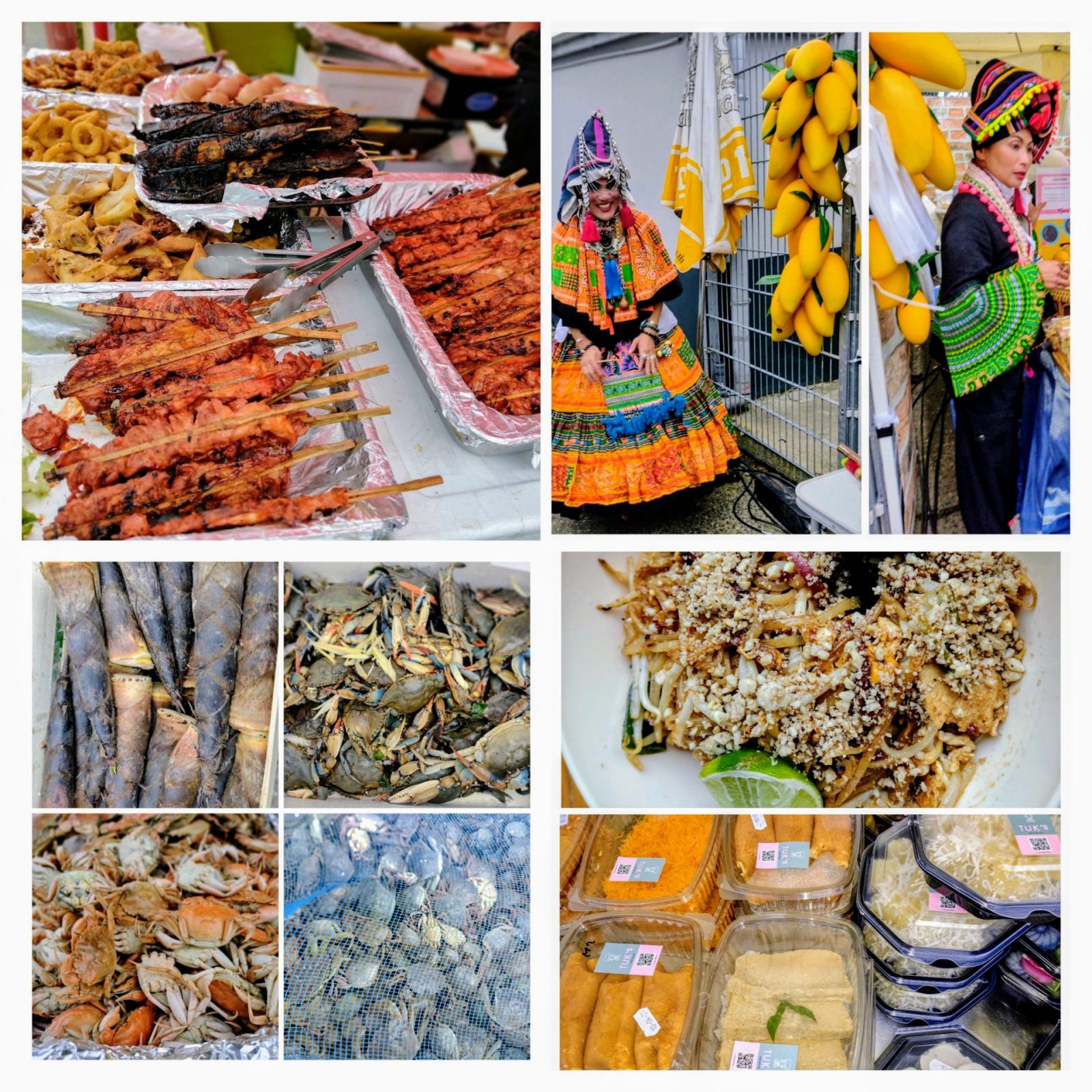 20240405_205231-COLLAGE