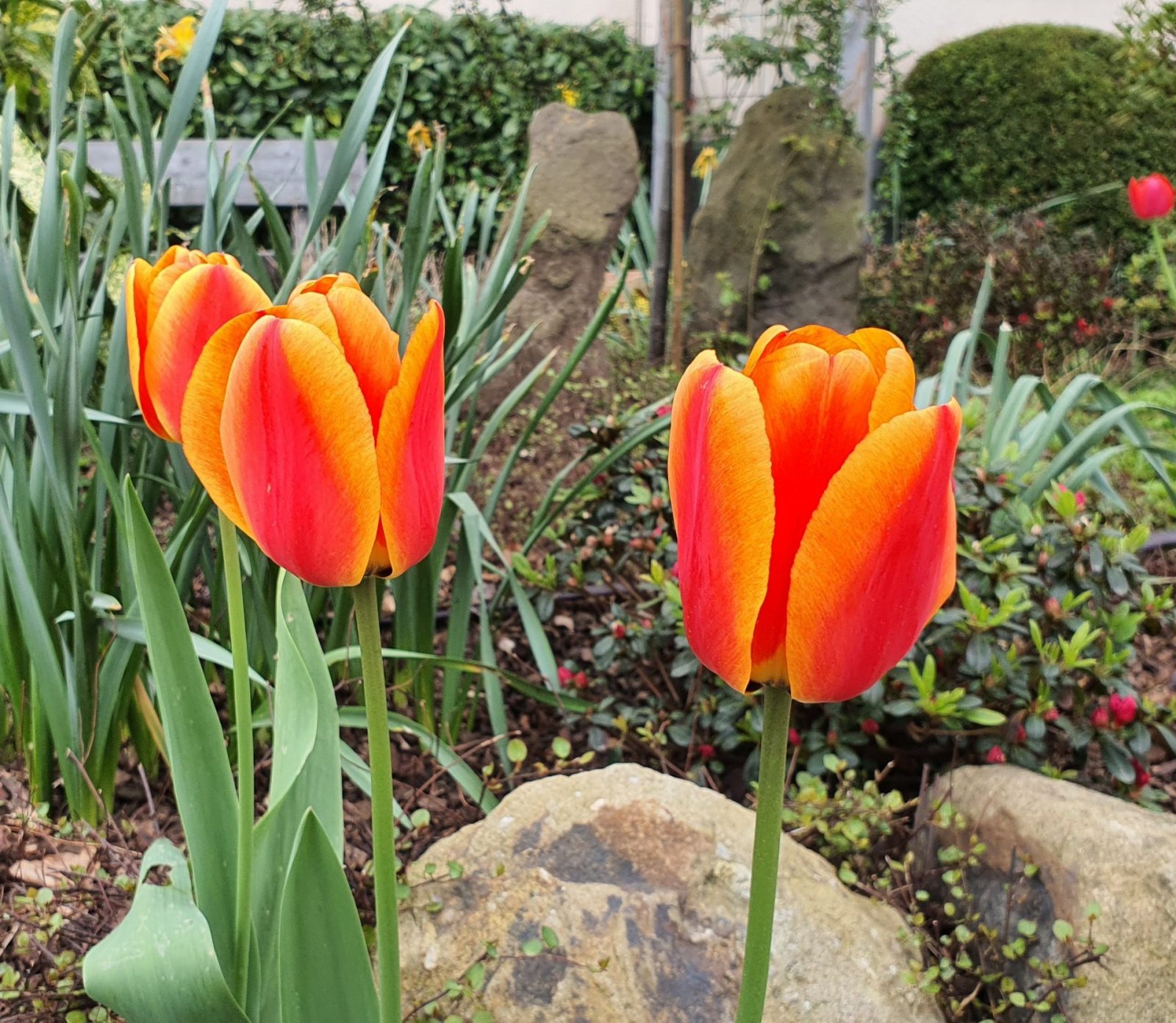 20240410_141553 - Kopie