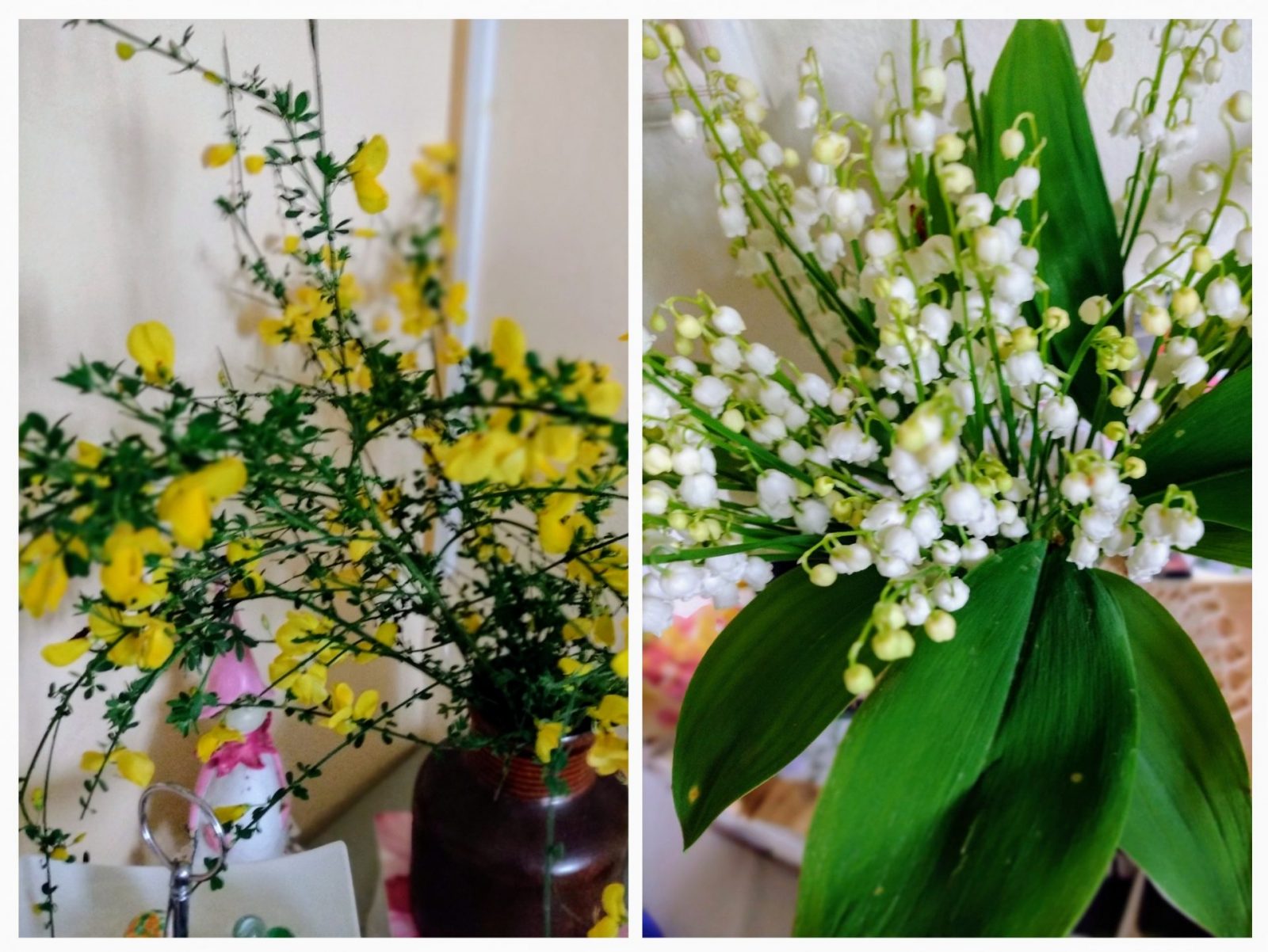 20240418_163108-COLLAGE