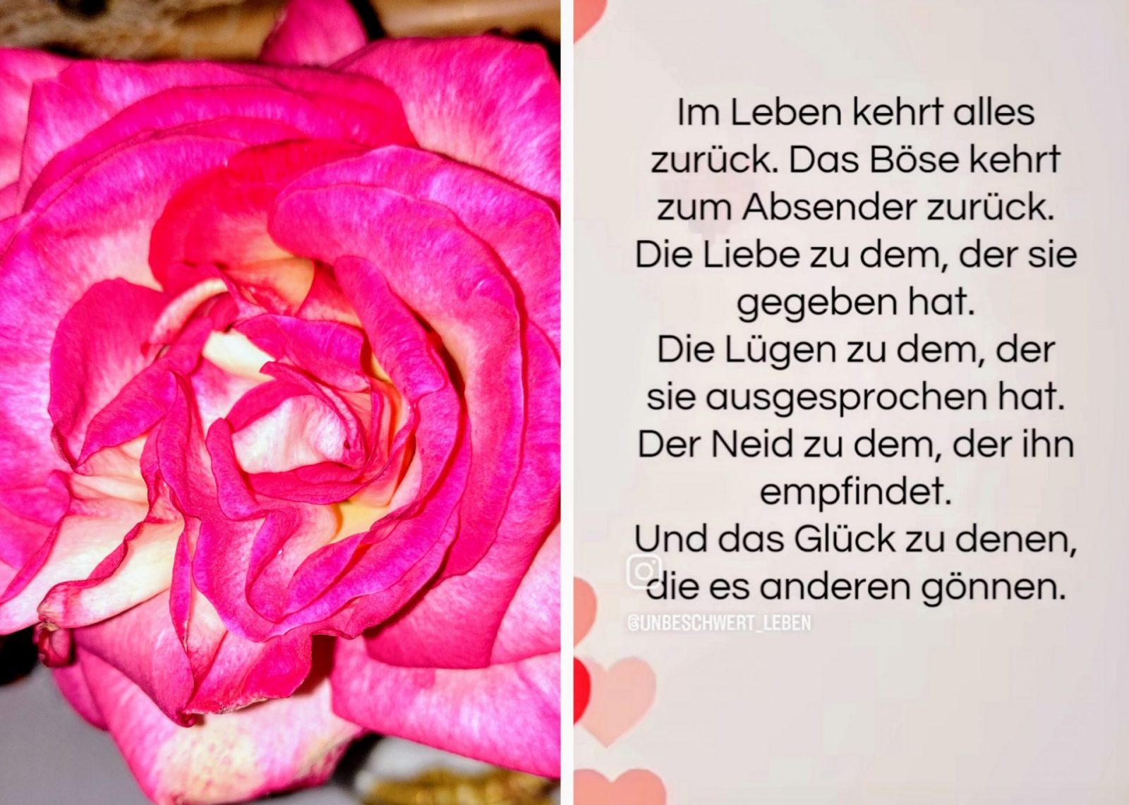 20240424_155810-COLLAGE