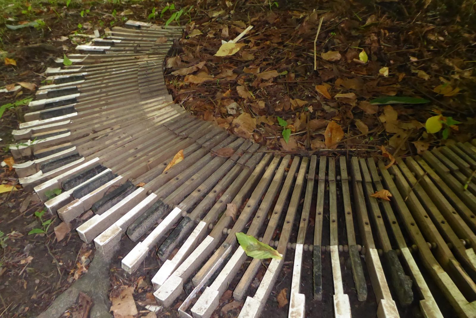 20240526 Sinneswald (513)