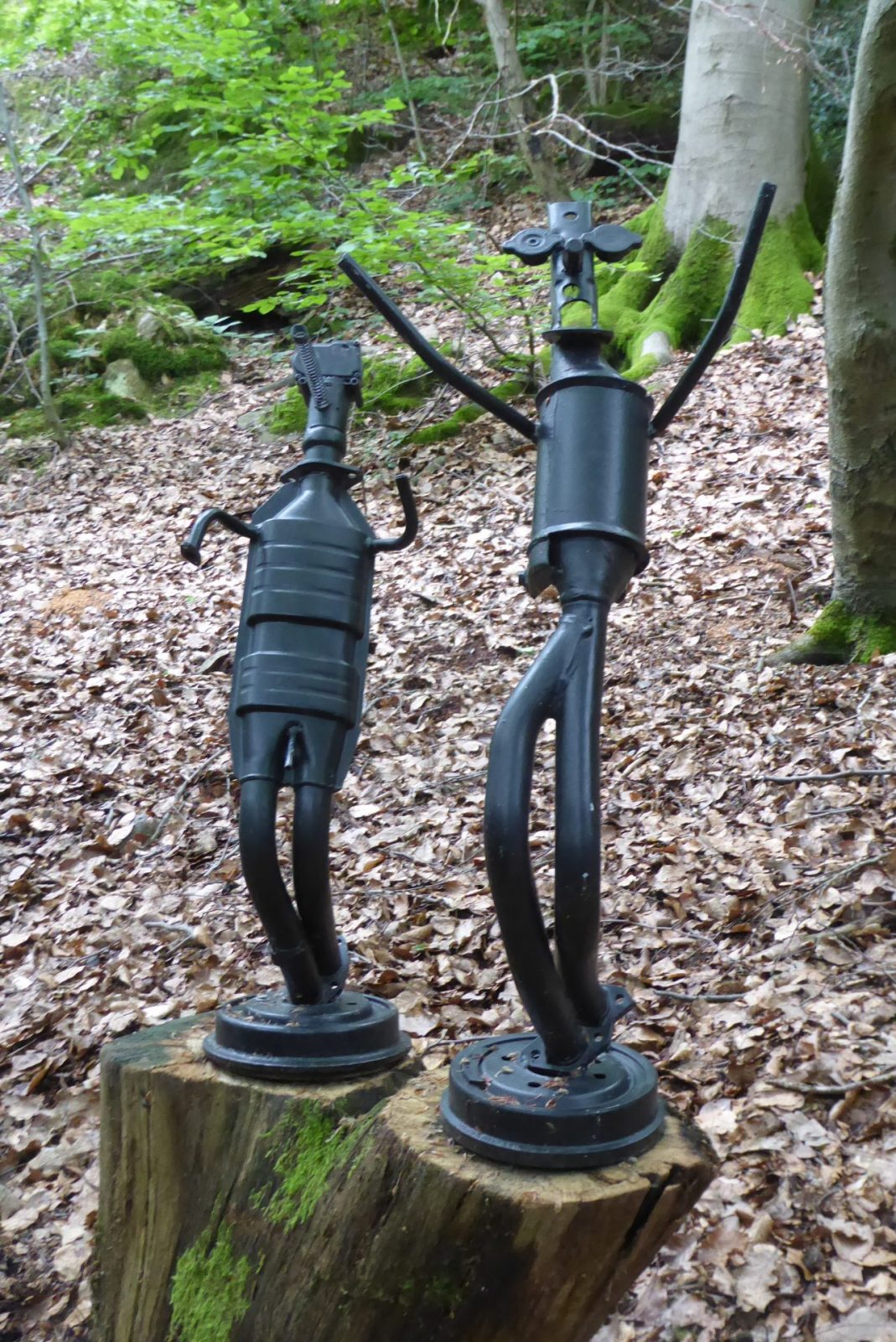 20240526 Sinneswald (543)