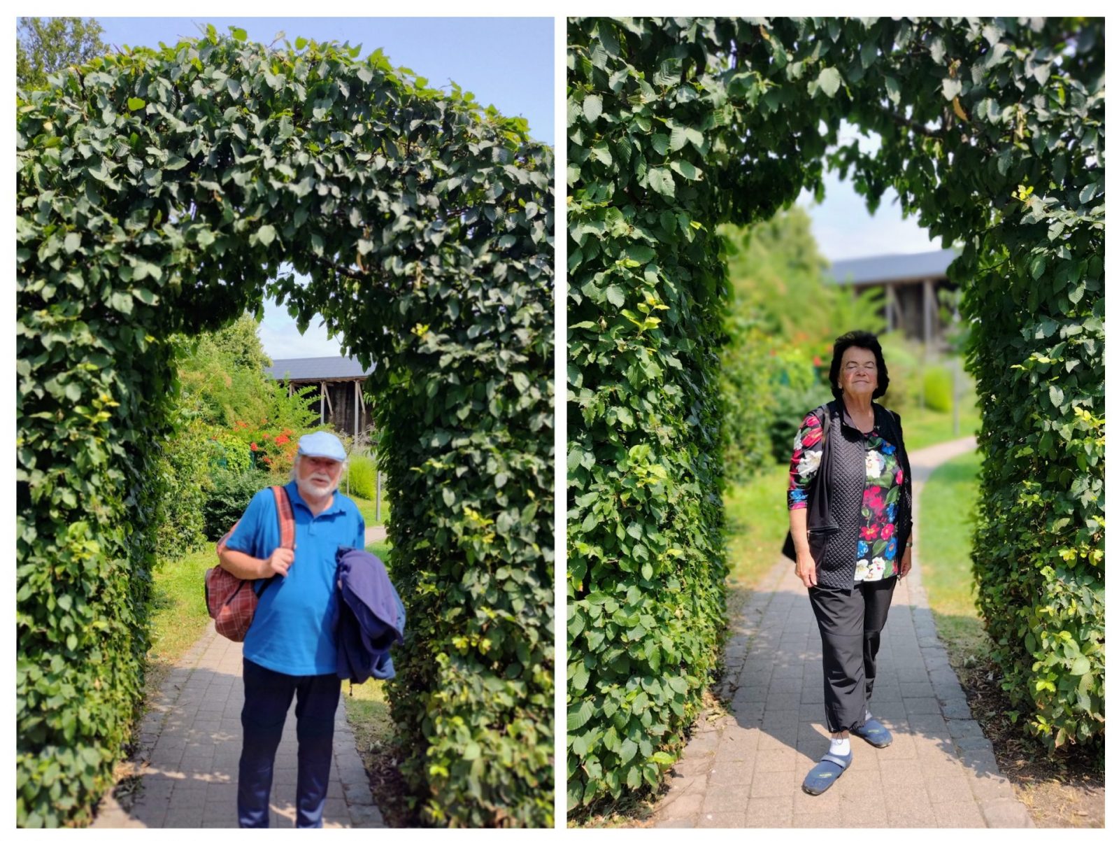 20240724_202227-COLLAGE