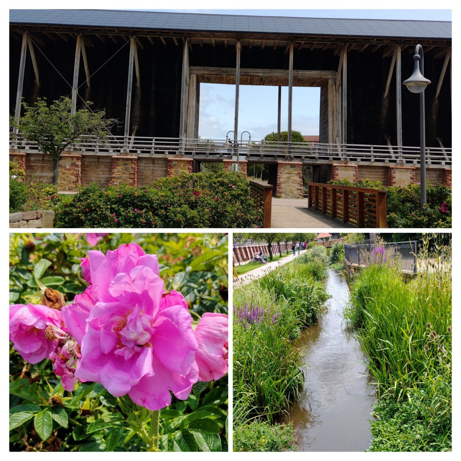 20240724_202529-COLLAGE