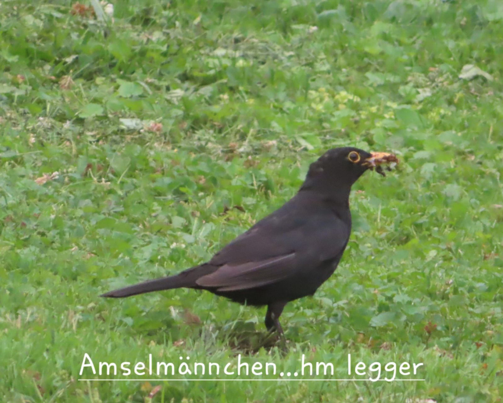 20240727162020_IMG_1075