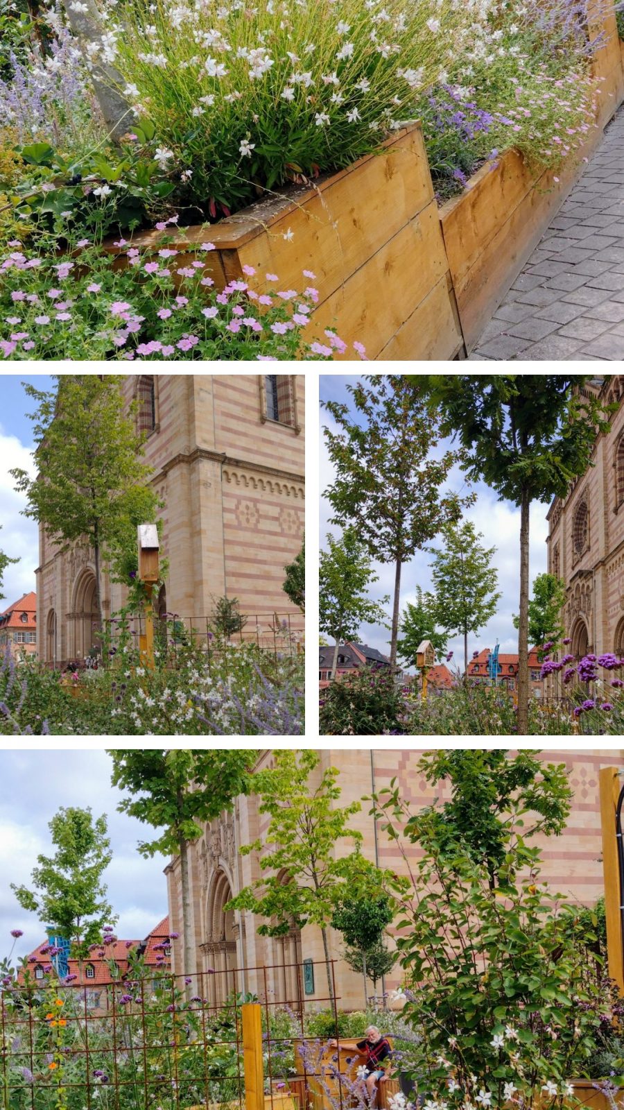 20240803_153953-COLLAGE