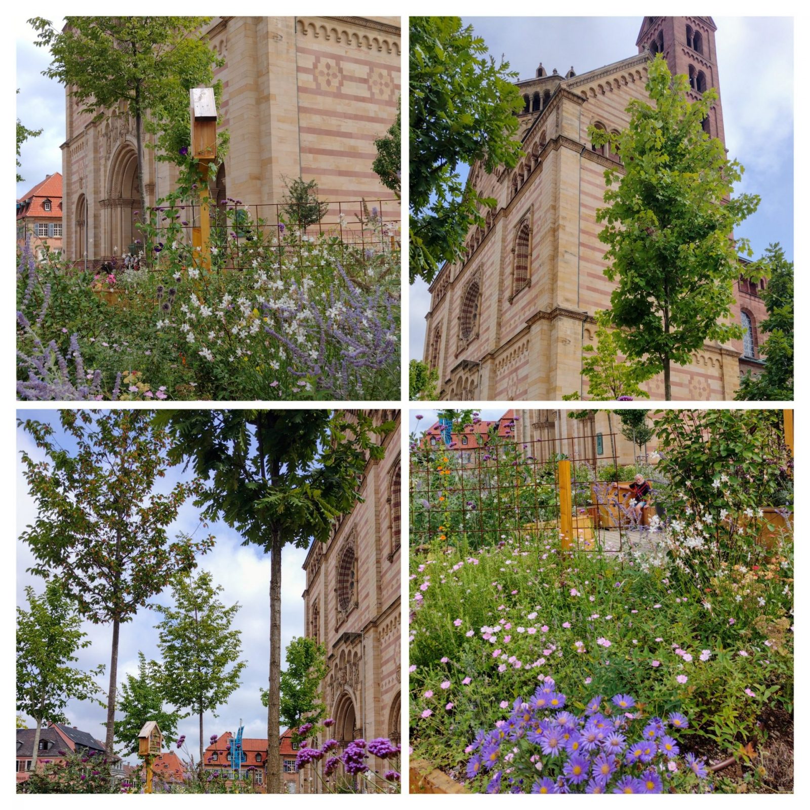 20240803_154106-COLLAGE