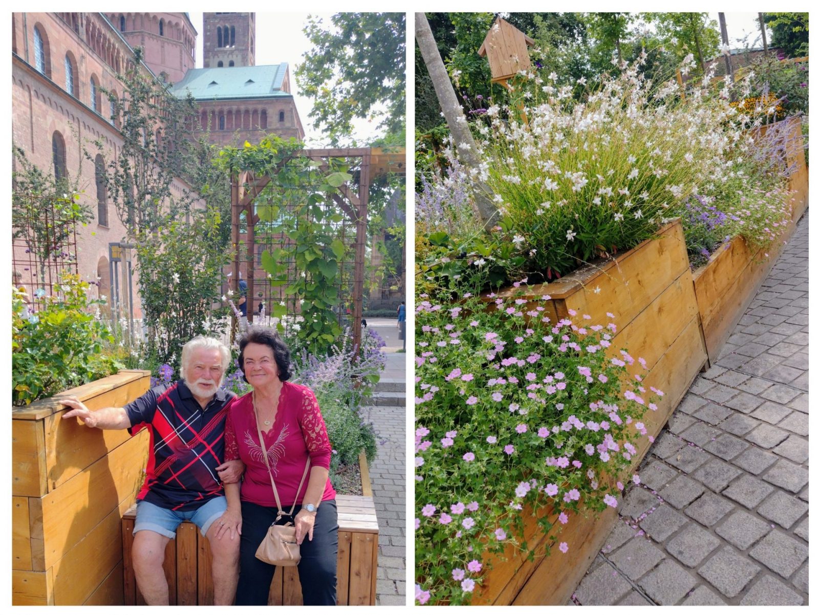 20240803_154411-COLLAGE