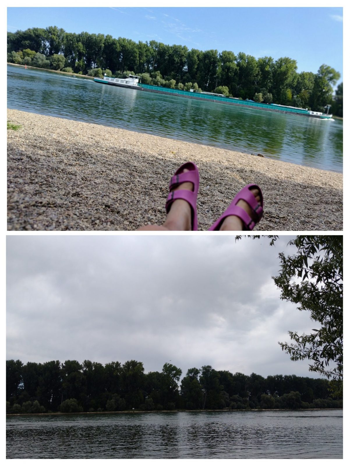 20240812_123946-COLLAGE