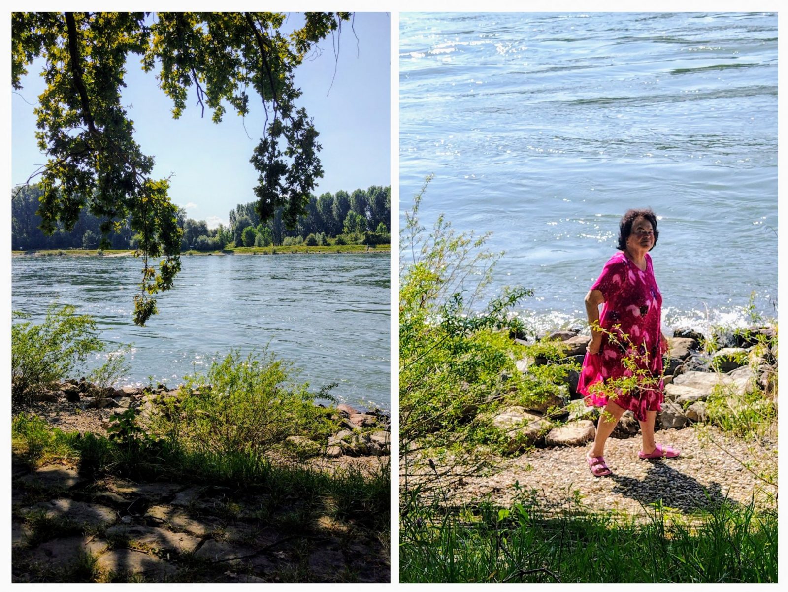 20240815_113220-COLLAGE