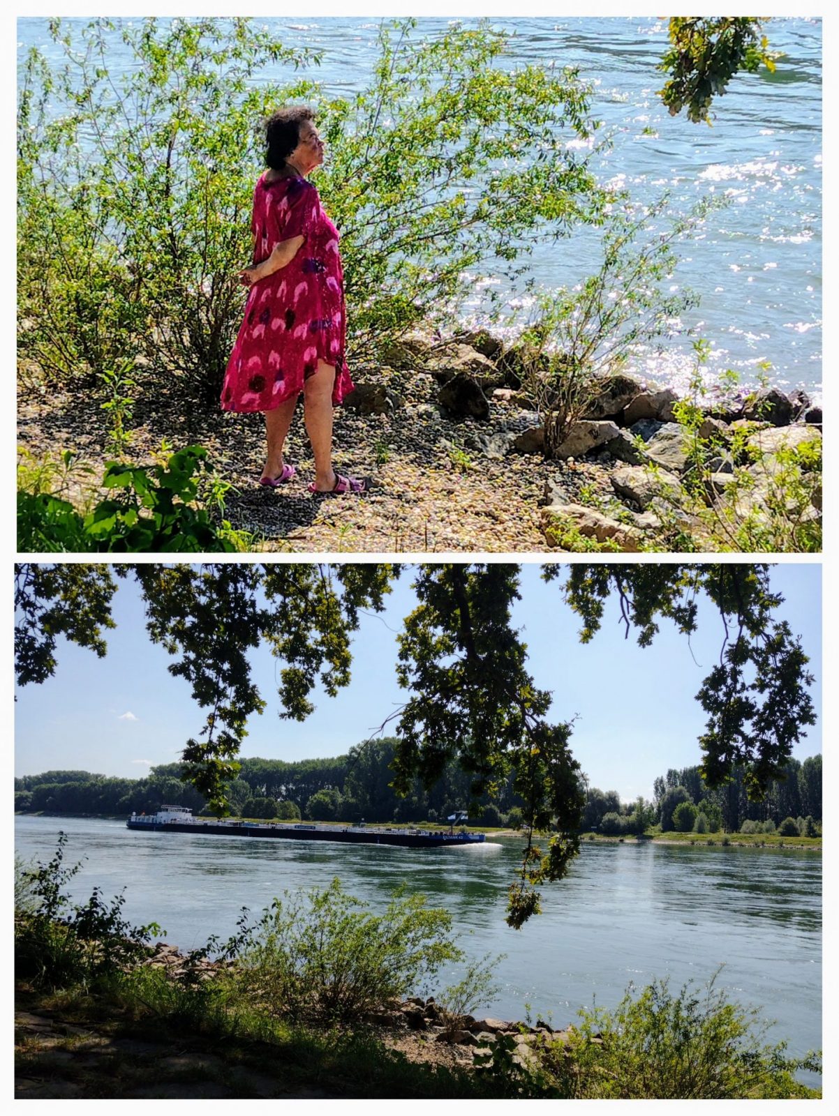 20240815_113647-COLLAGE