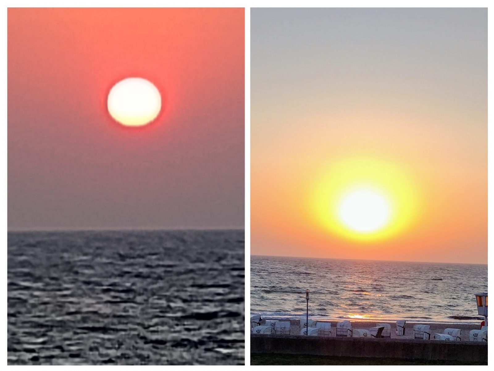 20240905_070026-COLLAGE