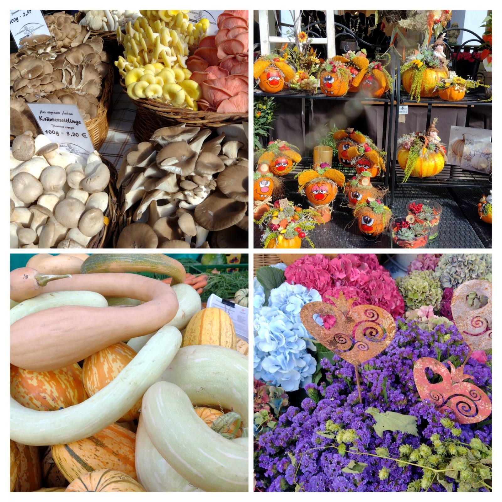 20240914_124625-COLLAGE