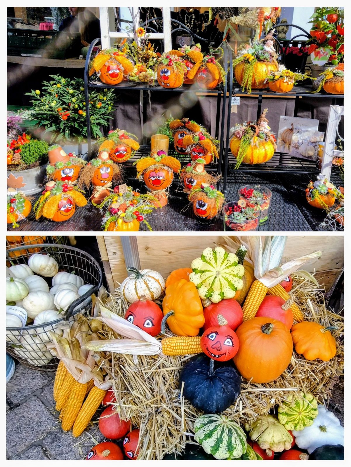 20240914_154629-COLLAGE