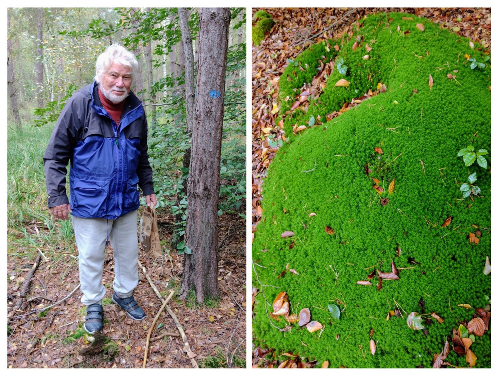 20241003_125002-COLLAGE