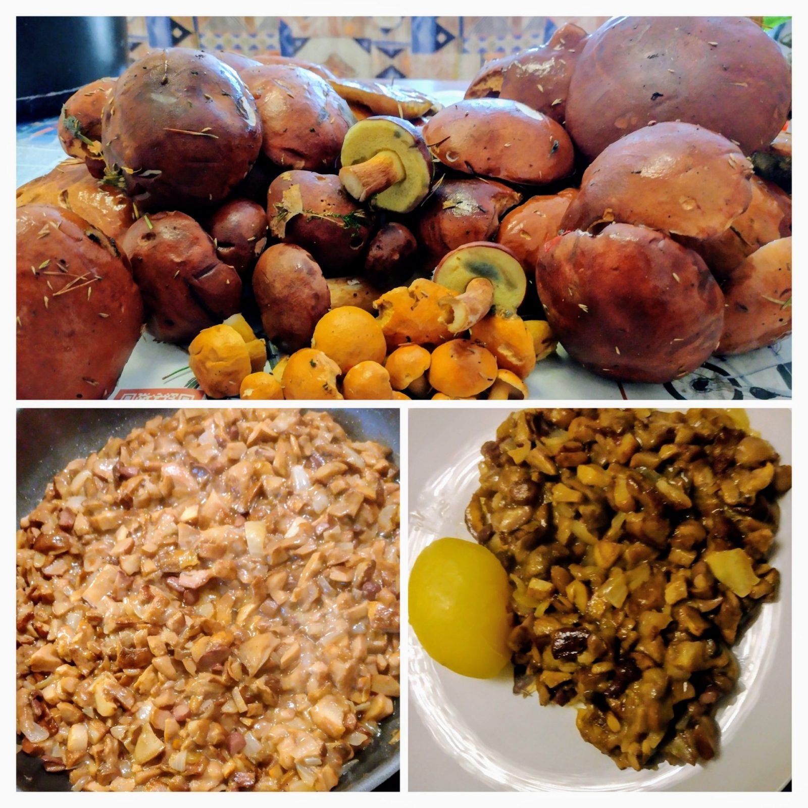 20241003_192217-COLLAGE