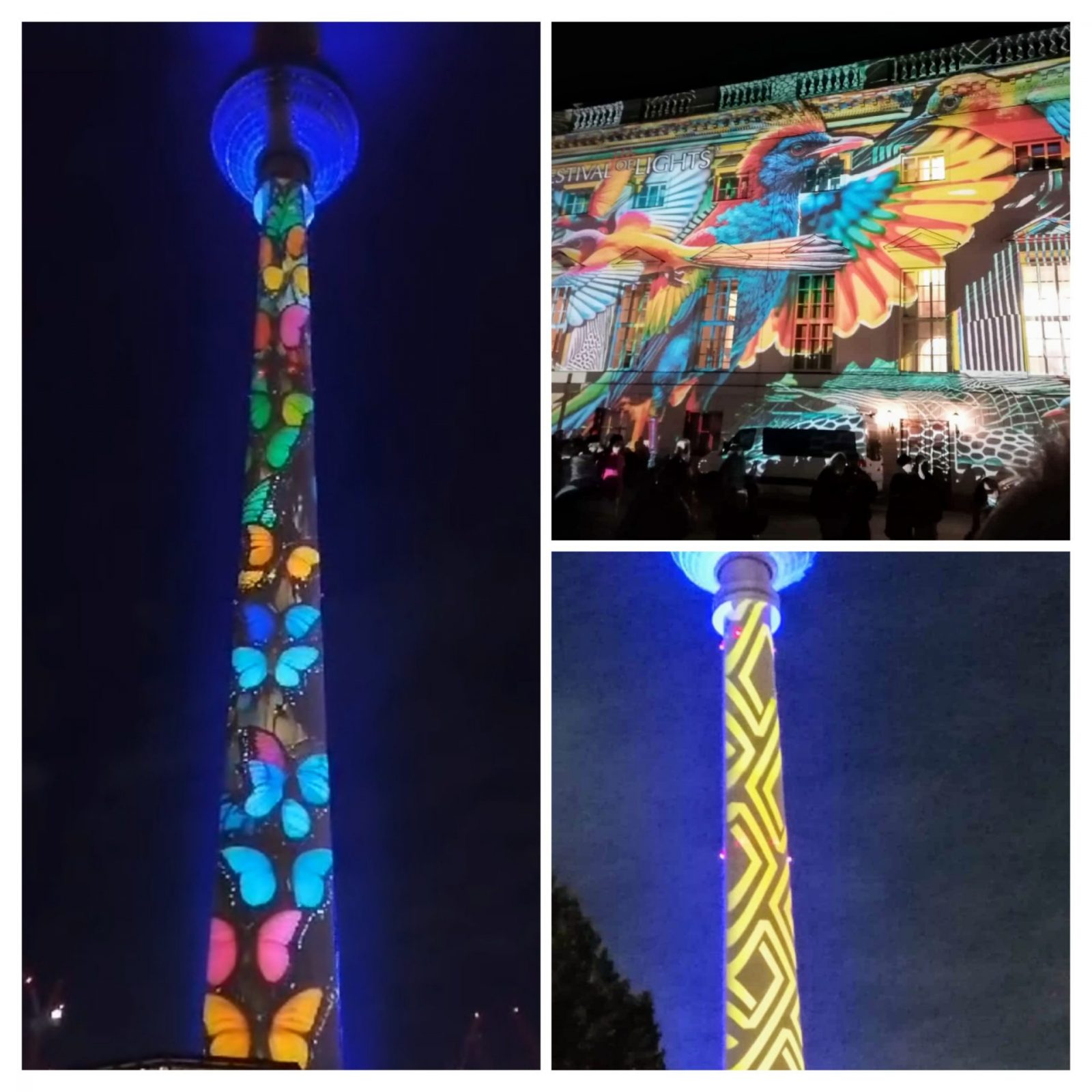 20241008_140412-COLLAGE