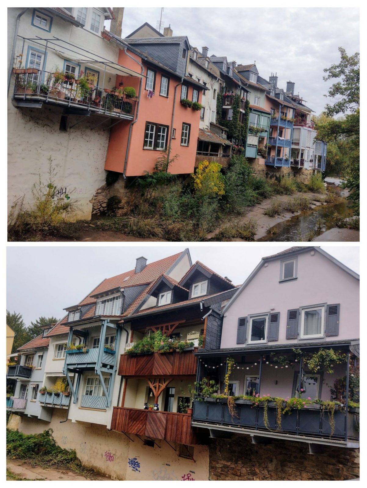 20241018_174507-COLLAGE