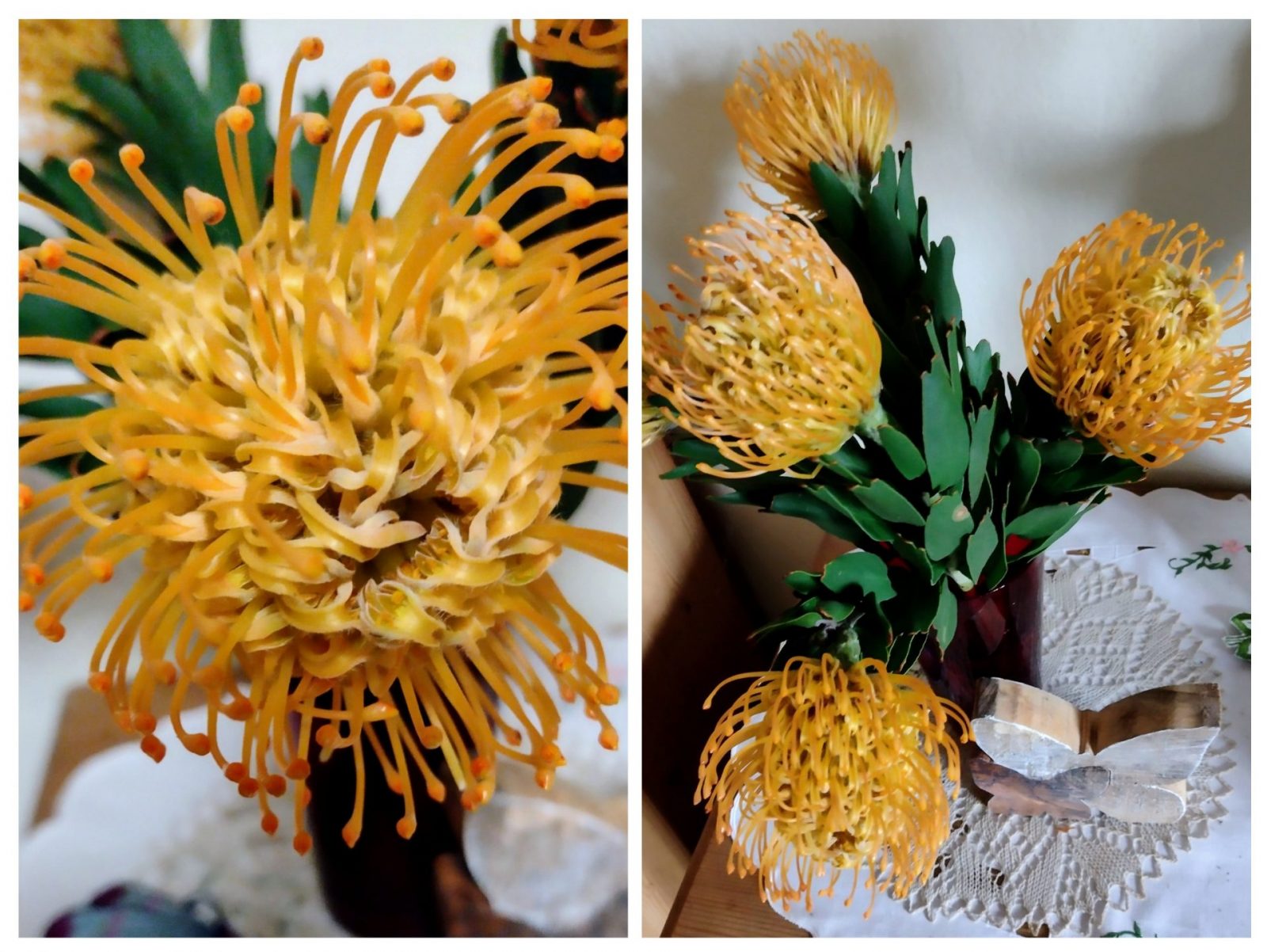 20241121_113657-COLLAGE