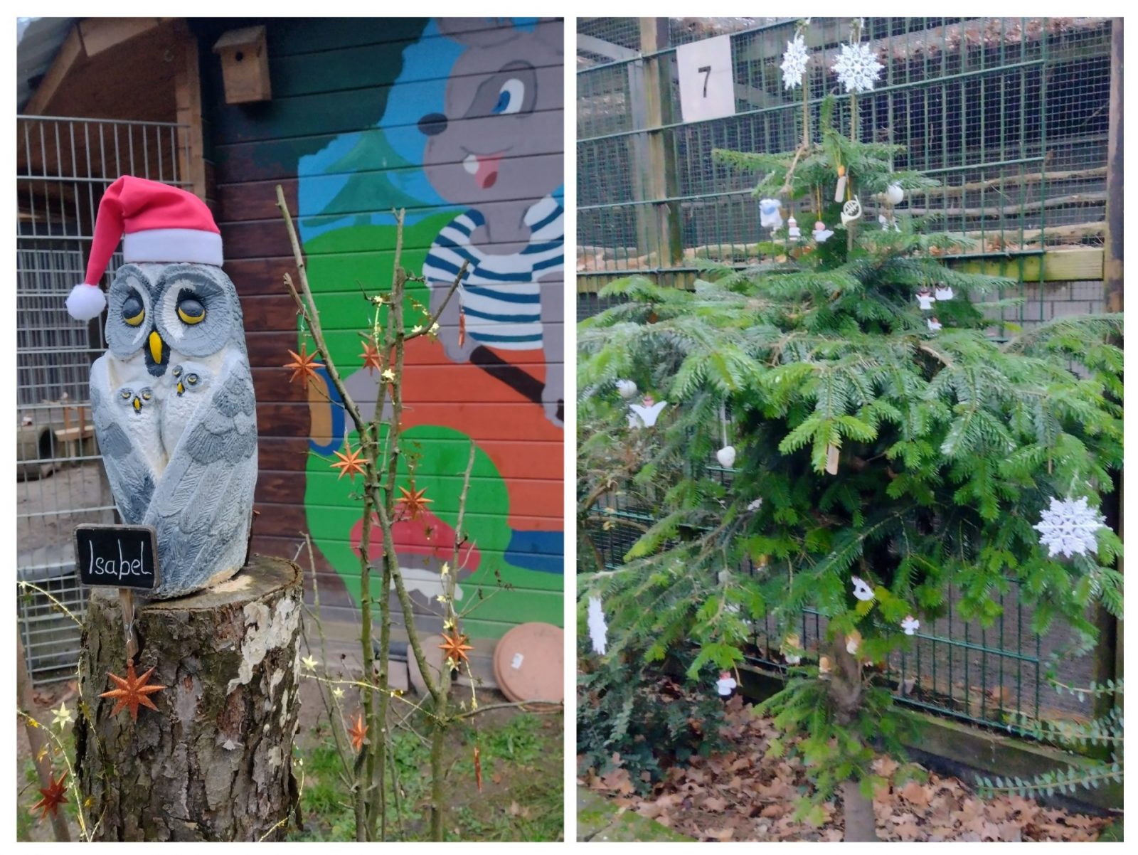 20241214_182121-COLLAGE