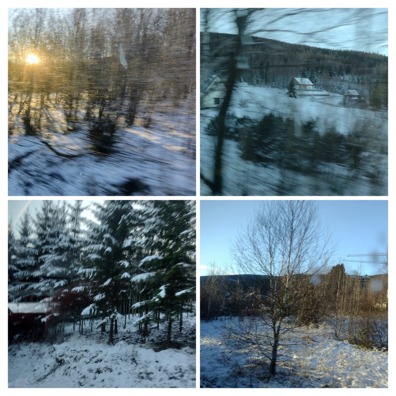 20241227_104933-COLLAGE