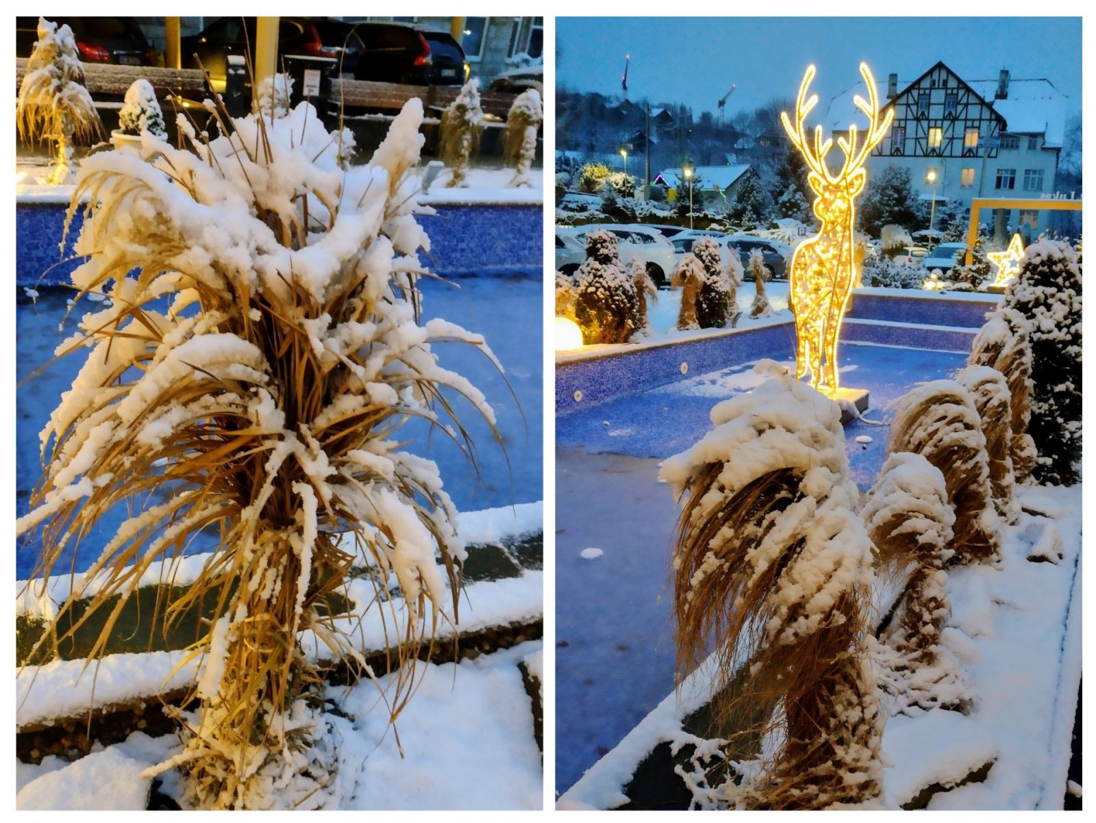 20250102_171228-COLLAGE