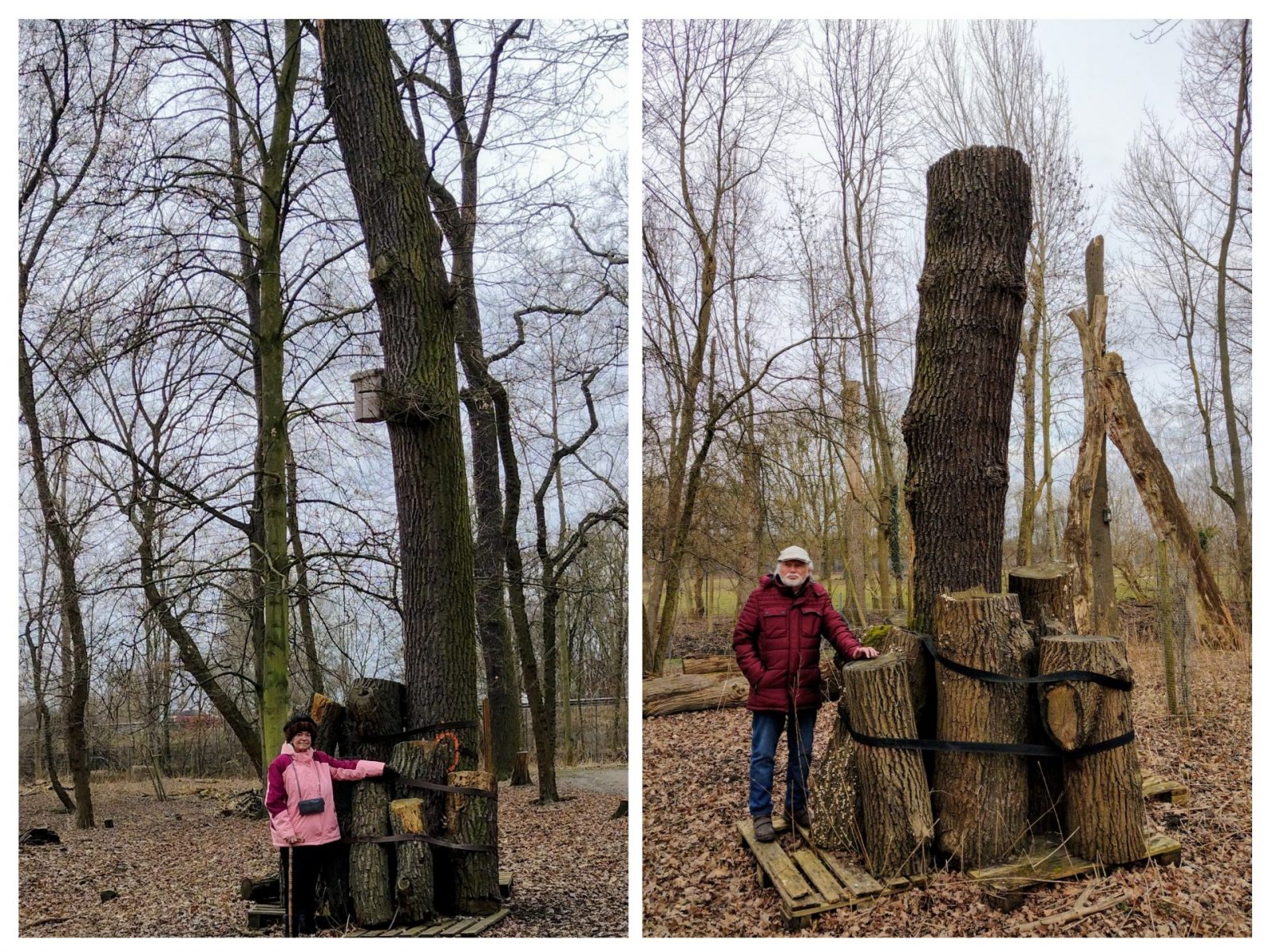 20250207_165256-COLLAGE