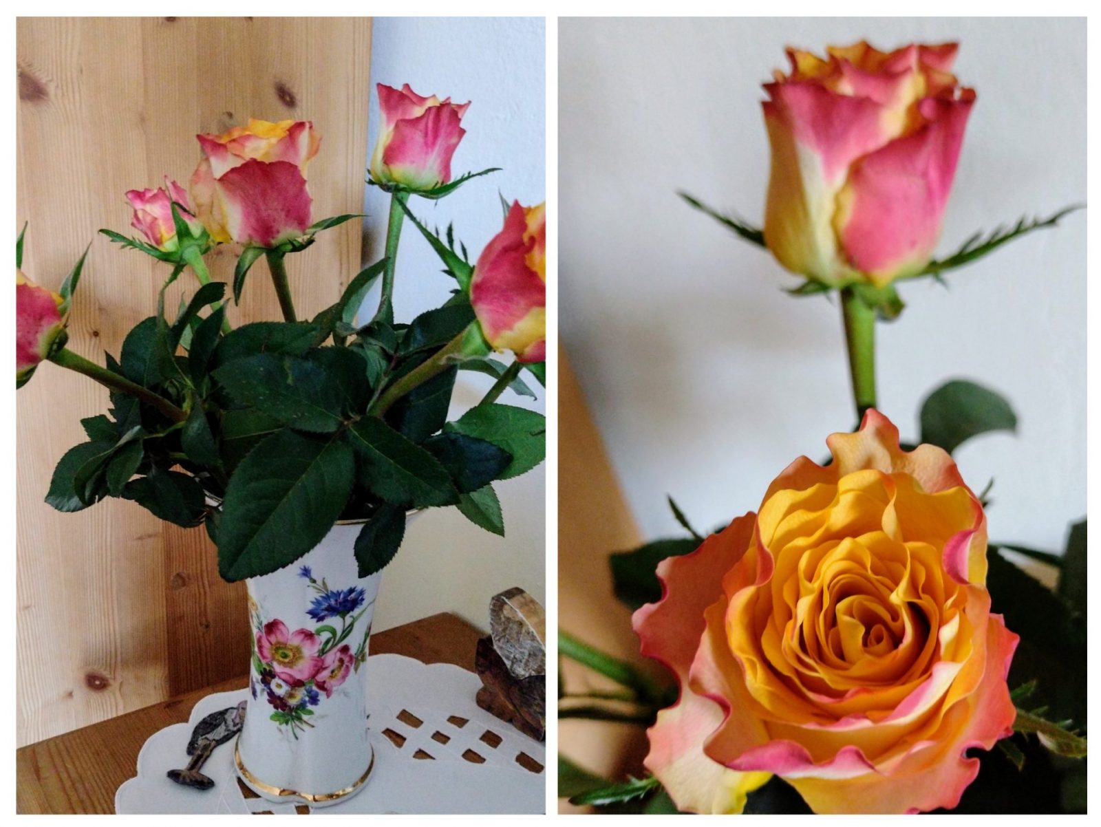 20250216_143431-COLLAGE