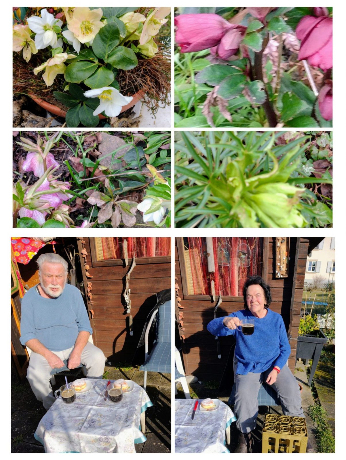 20250221_174010-COLLAGE