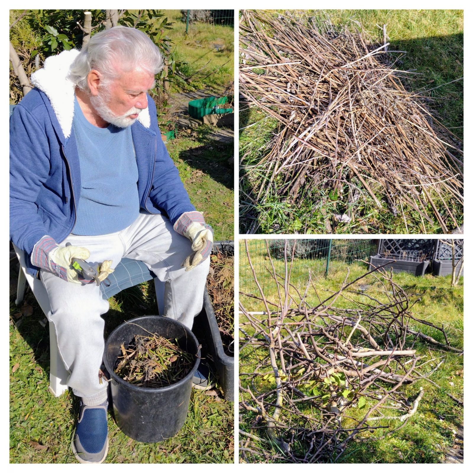 20250304_162852-COLLAGE