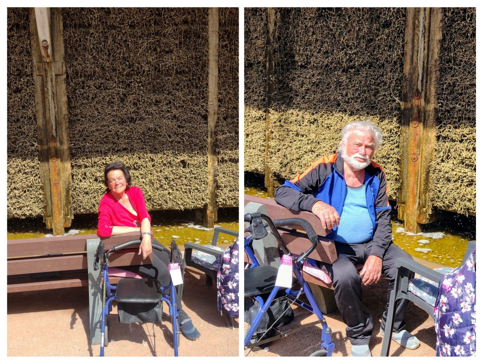 20250413_192205-COLLAGE