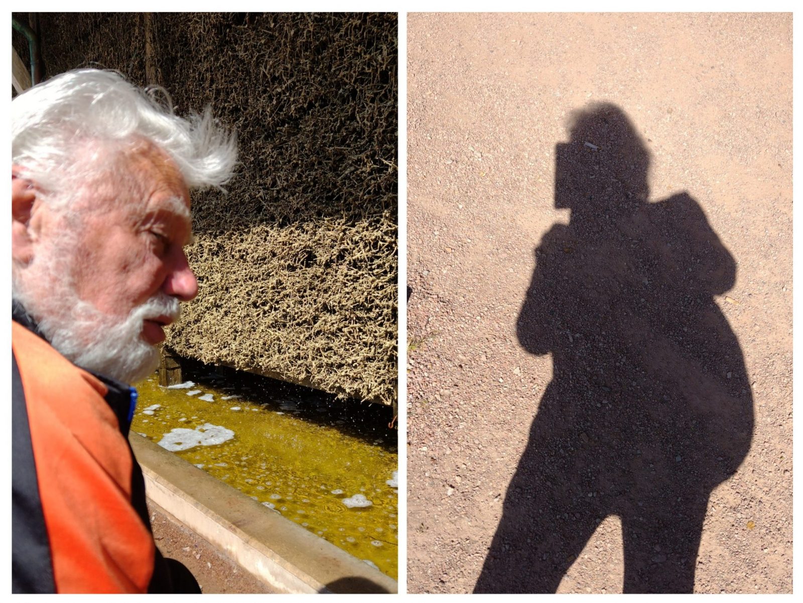 20250413_192422-COLLAGE