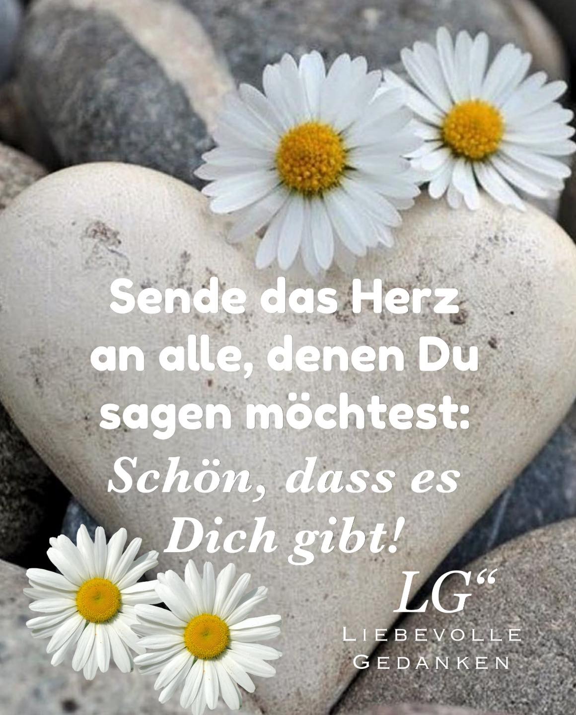 202702558_2951230955139127_8860408635855544885_n