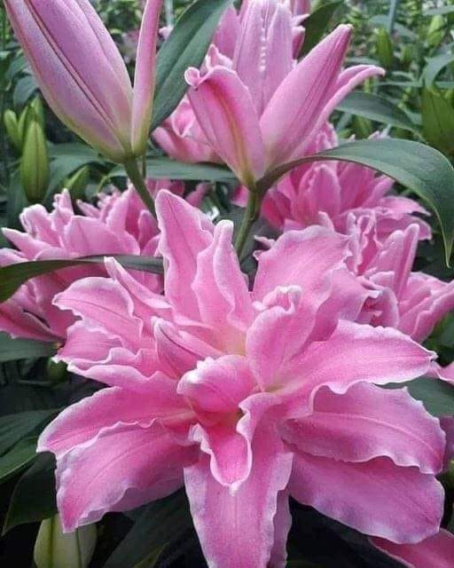 203700056_1251269745327329_2474210247779211942_n