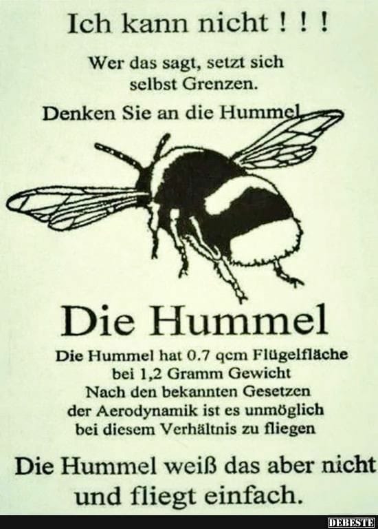 204409135_302709138251047_6912680053154815007_n