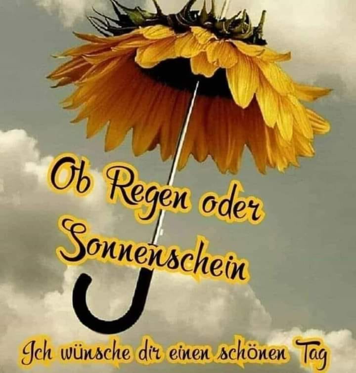 206758850_165323658987162_7311024359580564955_n