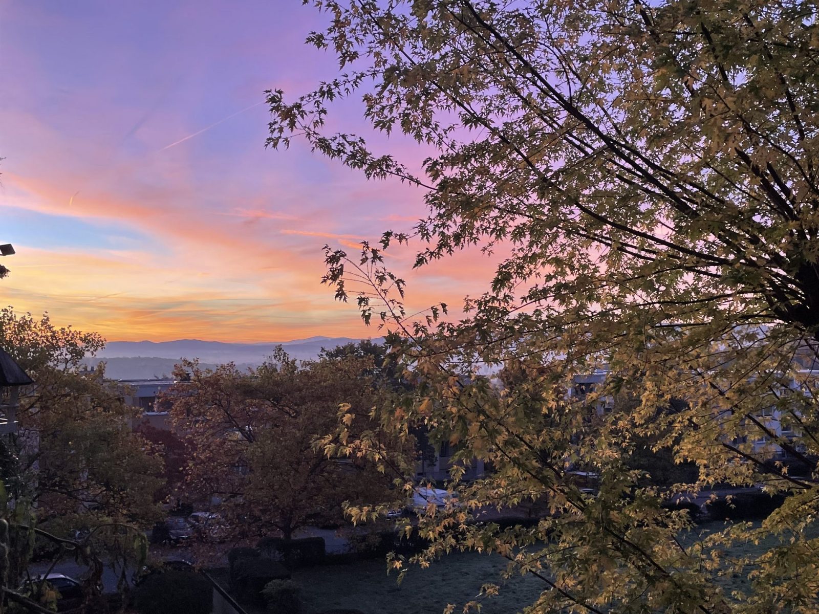 206BFB2F-FBD0-4AAE-AA22-DA7F464B96D9