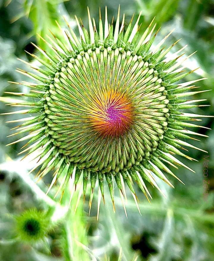 207212293_1485404228472155_7203999194881920834_n