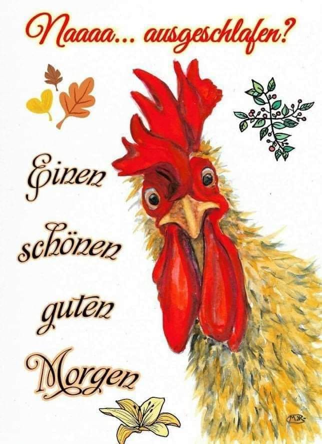 208061925_321391439691528_1490420756331136416_n