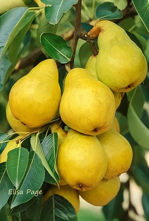 208278766_5939231682817385_4526018354044408290_n