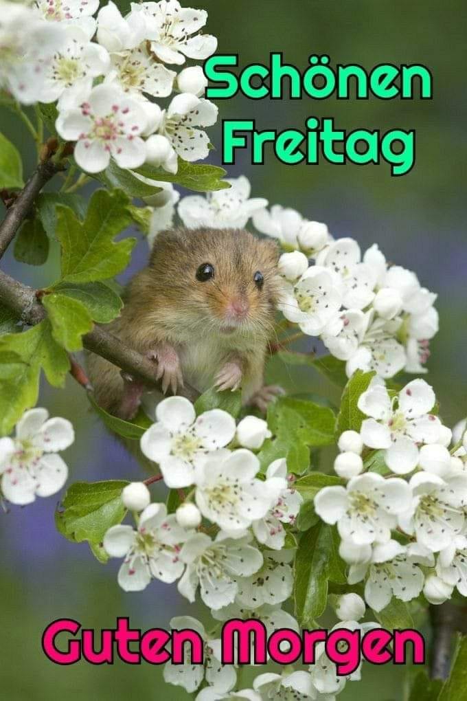 208326795_904283343487664_7446945015298791475_n (1)