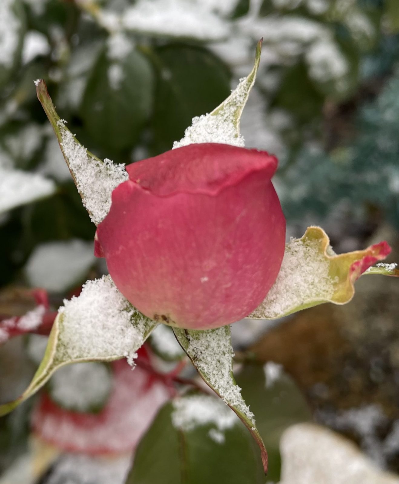 20882212-8D1D-4994-98C0-ECC2F354BB2A