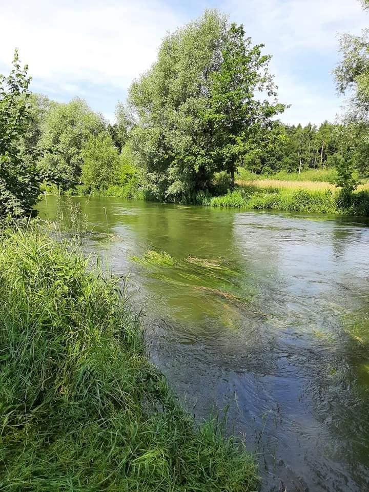 209202567_1539130446437812_5621248581988264997_n