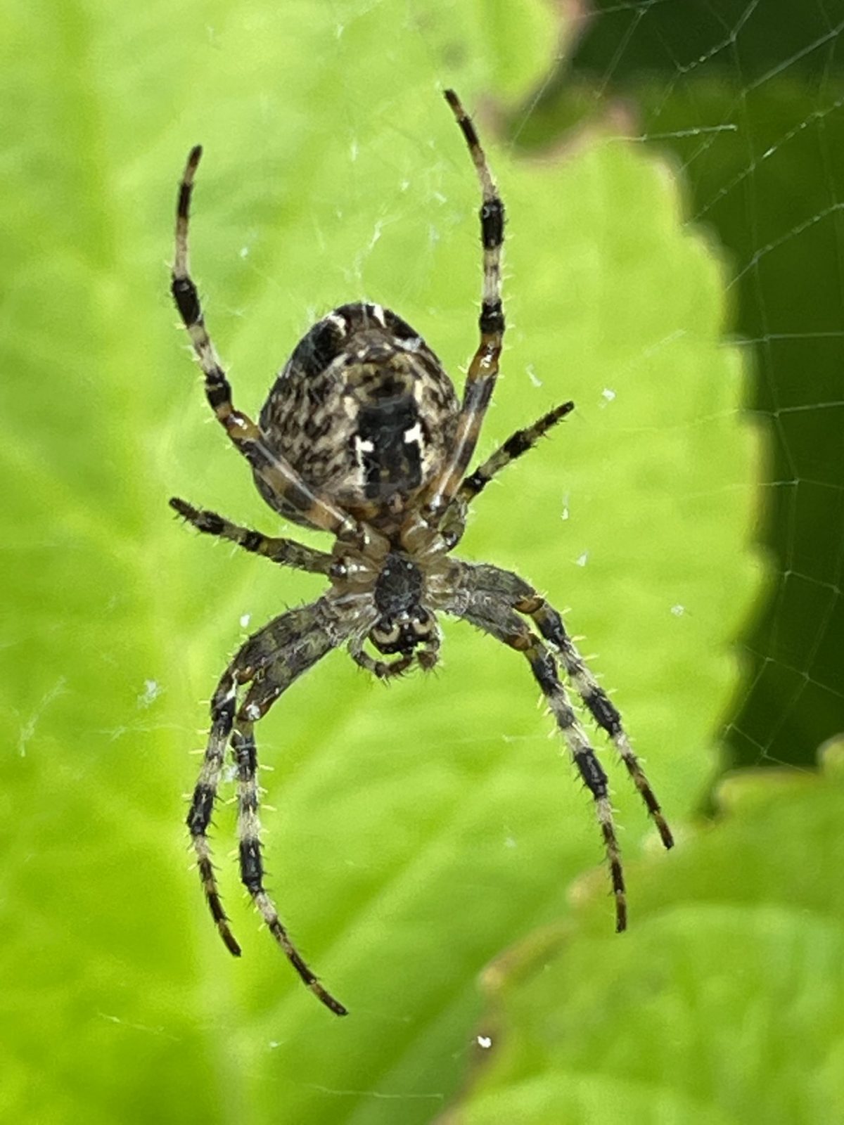 20D859EC-B0B9-4FCD-B03C-4217F78CCFB8