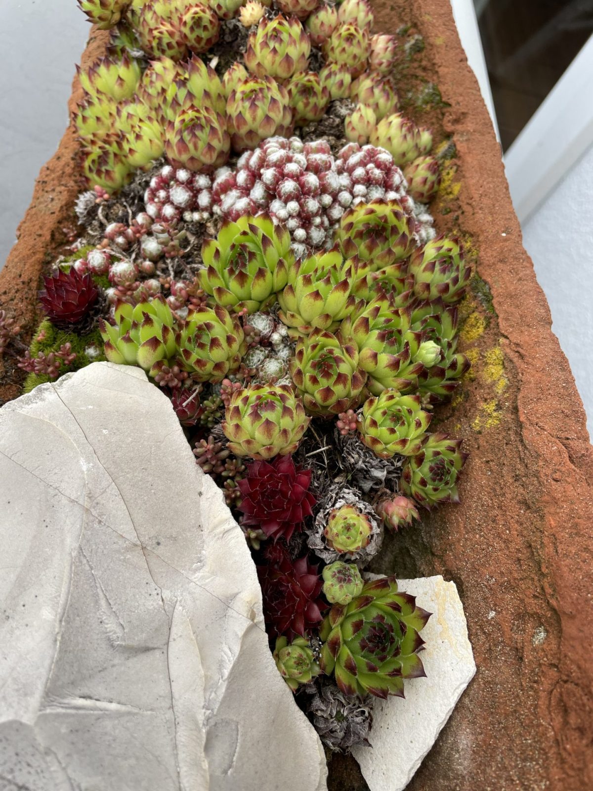 20E2A28B-DFAF-48B5-BFB7-F90491D4CDAC