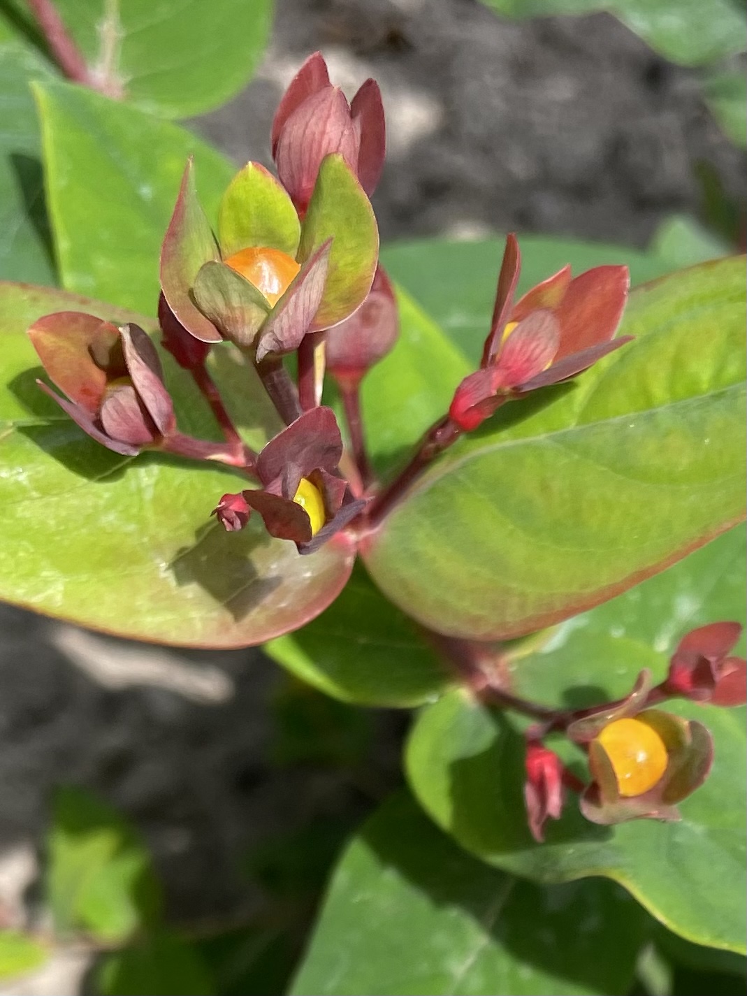 20E6E4C4-027D-4D41-A865-D1B805EB6D85