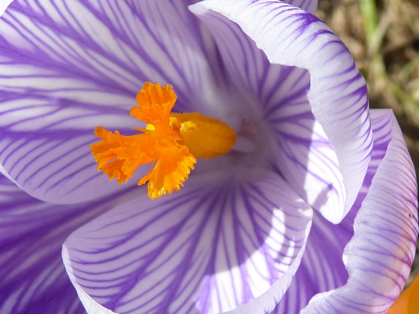 21. März 2019 Ostern (85)