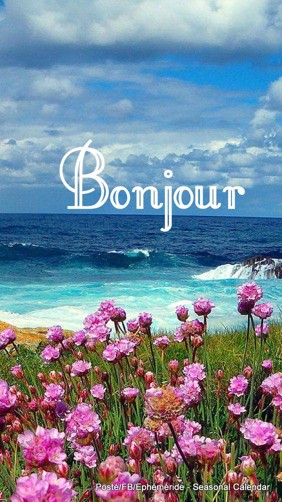 210043486_4372532072796855_2916803675306146625_n