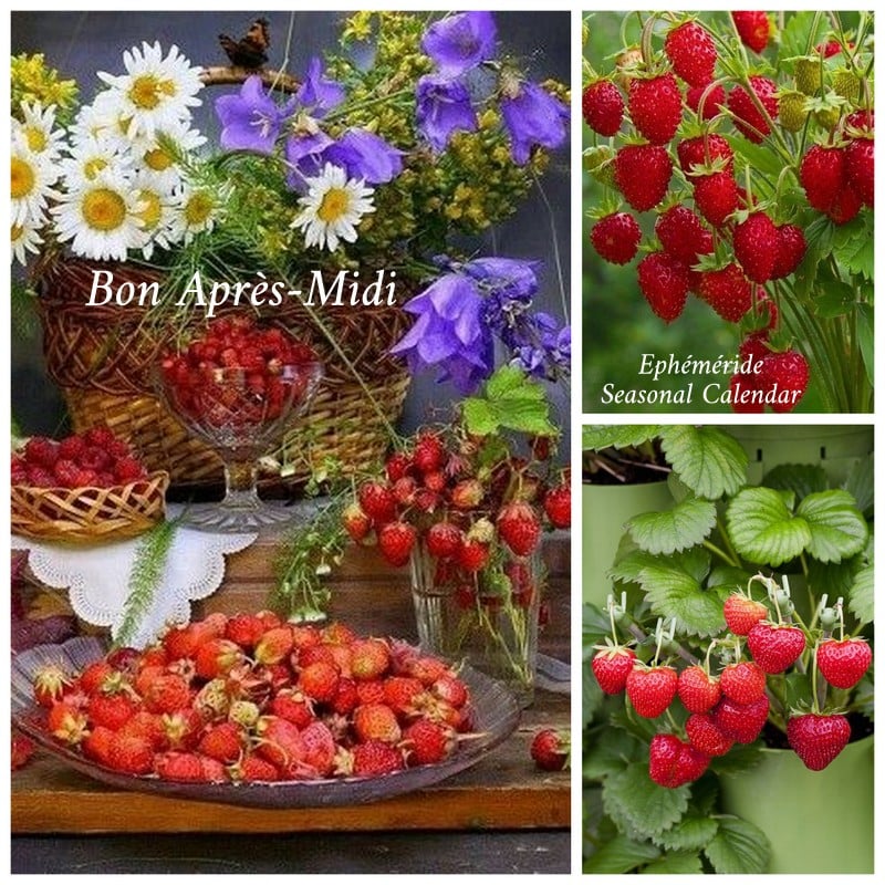 210043985_4368104153239647_8261075467158814358_n